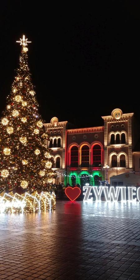 Domek "Igor" Nad Jeziorem Zywieckim W Zarzeczu Zarzecze  Exterior photo